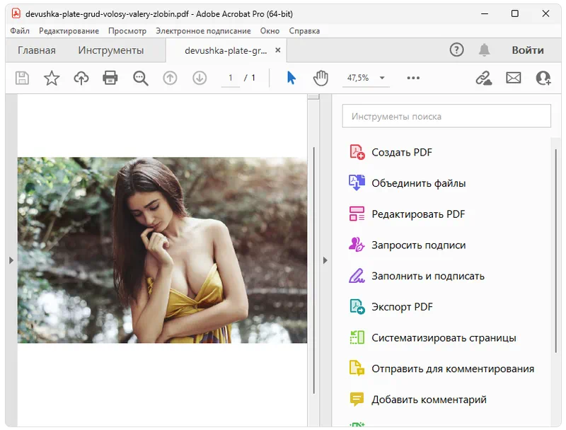 Adobe Acrobat Pro DC