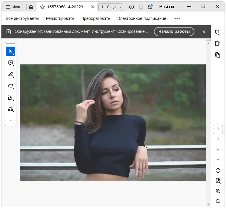 Adobe Acrobat