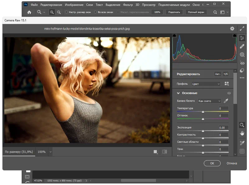Adobe Camera Raw