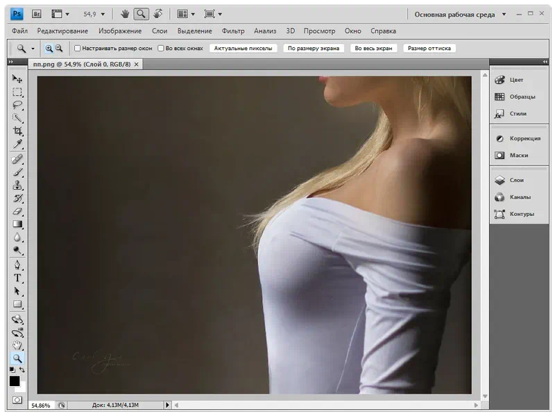 Adobe Photoshop CS 4