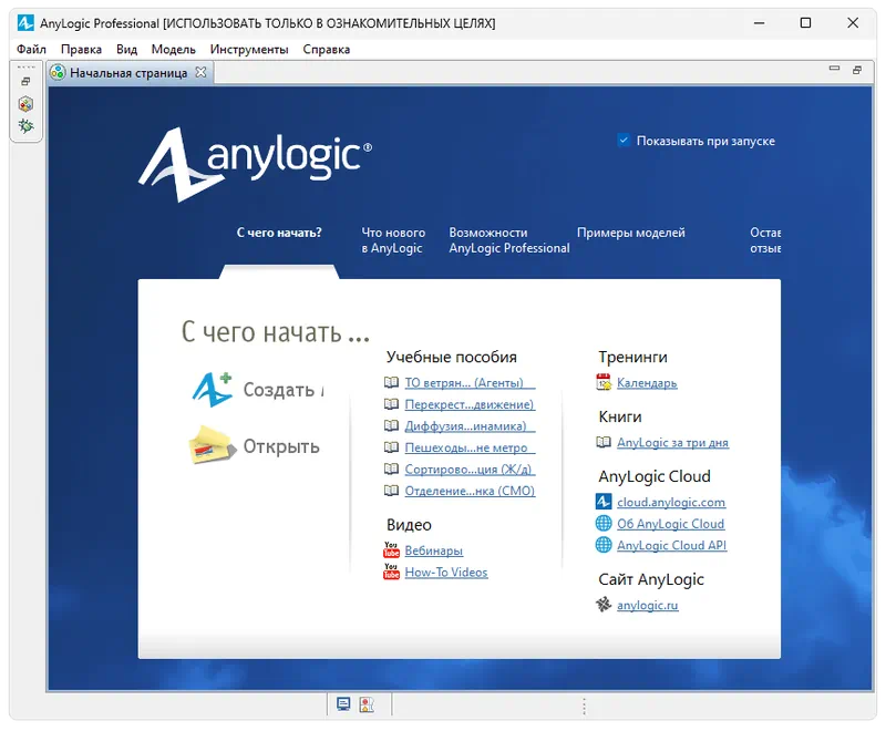 AnyLogic