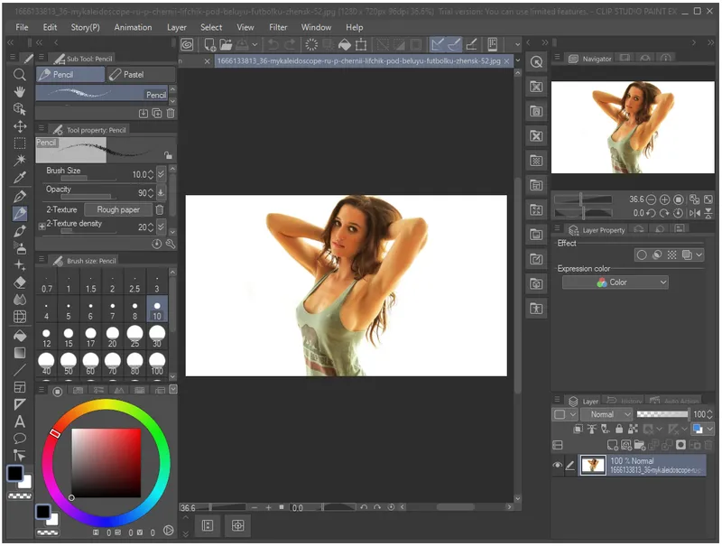 Clip Studio Paint Ex