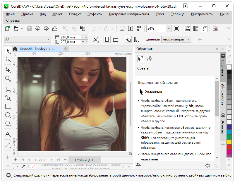 Coreldraw Graphics Suite