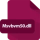 Иконка Msvbvm50.dll