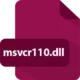 Иконка msvcr110.dll