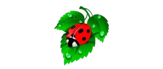 Иконка X-Designer