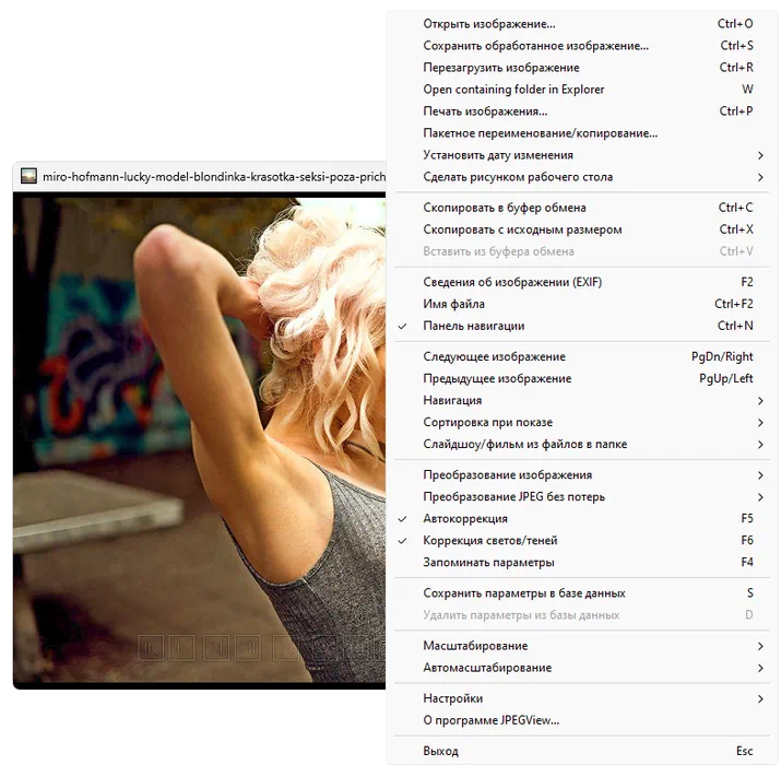 Настройки JPEGView