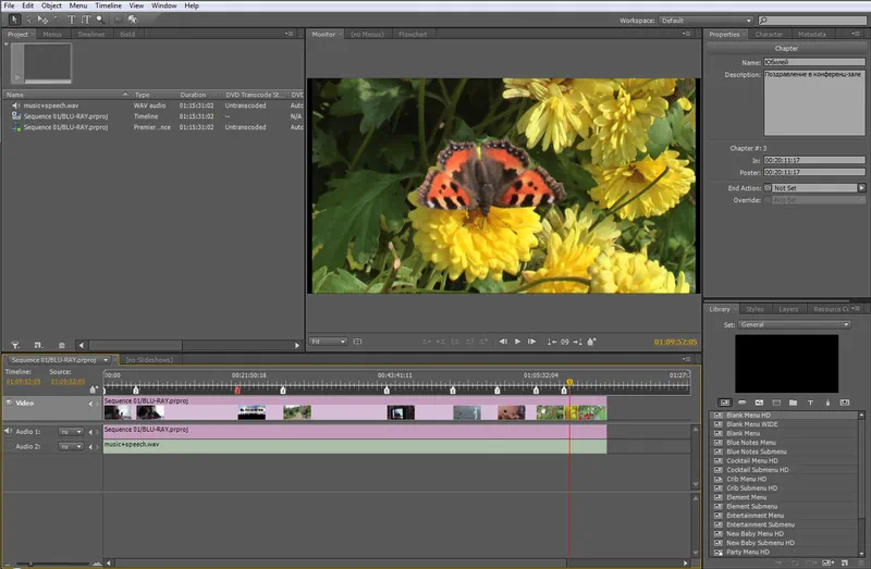 Программный интерфейс Adobe Encore
