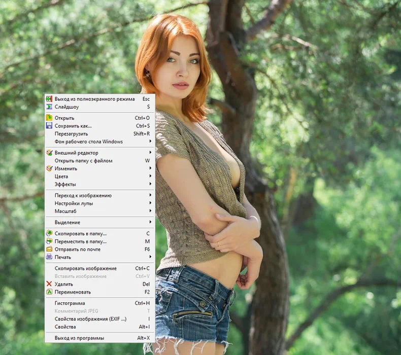 Работа с FastStone Image Viewer
