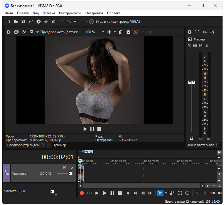 Sony VEGAS