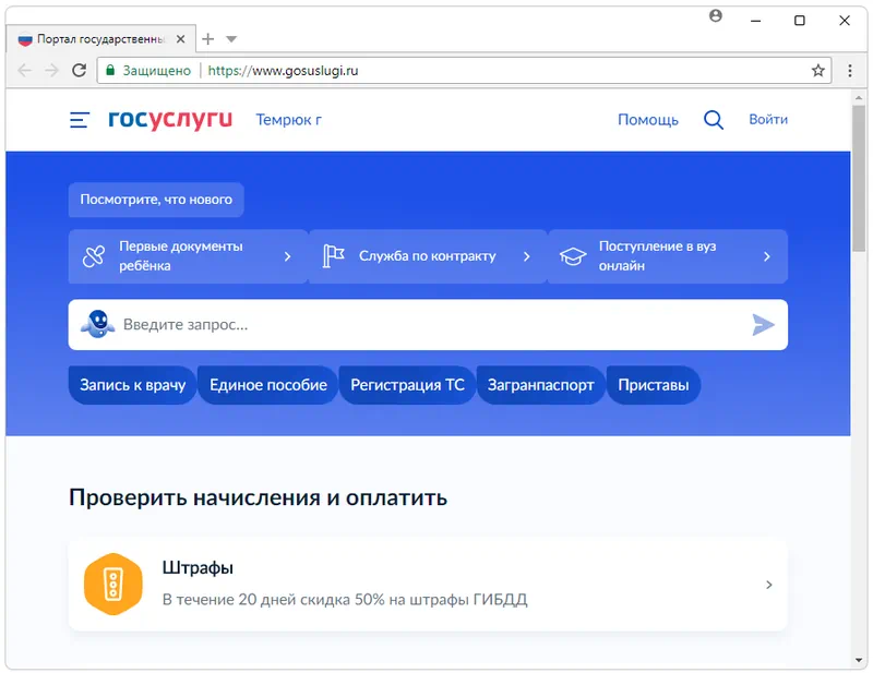 Спутник для госуслуг