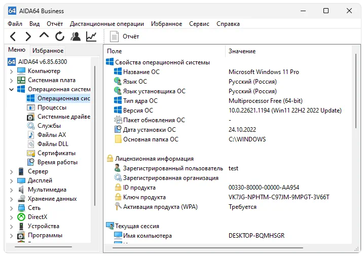 Сведения об ОС в AIDA64 Business