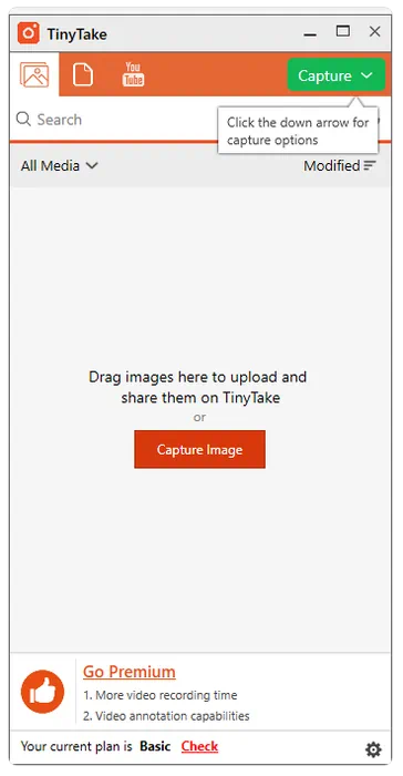 TinyTake