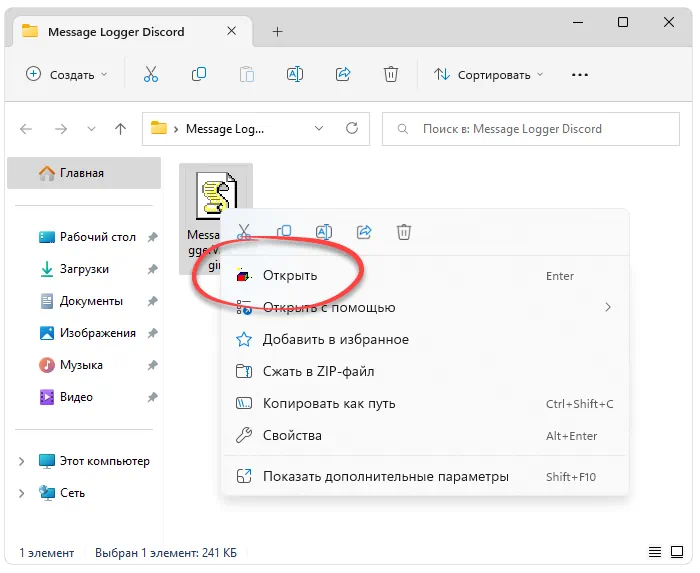 Запуск Message Logger Discord